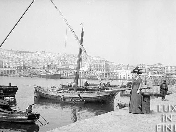 Port d'Alger / Algérie, 1900