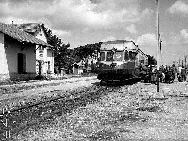 Gare de Tindja / Tunisie, 1947