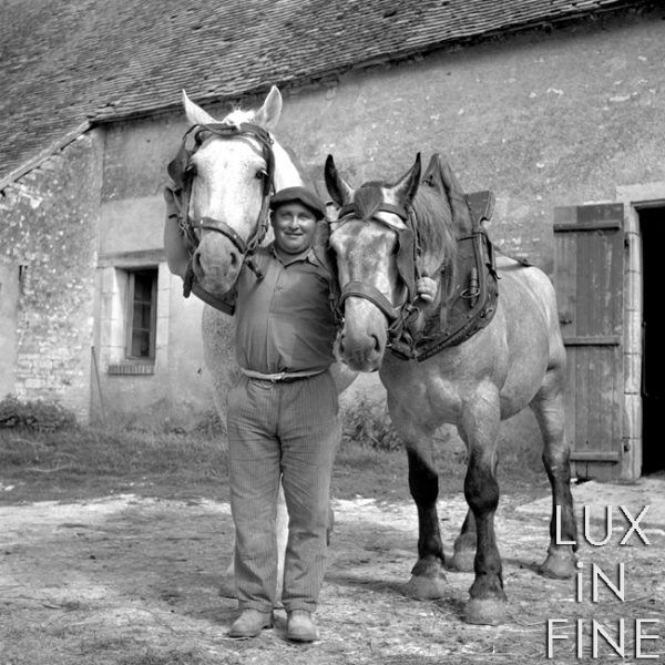 Le fermier et ses deux chevaux / Valençay (36), 1941